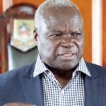 Ministers July Moyo, Edgar Moyo reassigned
