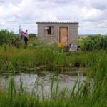 Authorities urged to protect Monavale Wetlands 