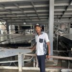 Zimbabwe’s Youth Power Play: Young Miners Forge a China‑Backed Lithium Revolution