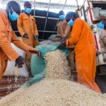 High Court Hands Government Victory in Grain Levy Dispute