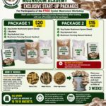 Midlands Mushroom Academy Expands to Zimbabwe’s Largest Button and Oyster Facility