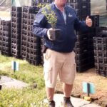 Wiserow Targets 2,500 Tons As Blueberry Exports Drive $5 Million Revenue Push