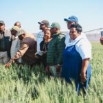 Parliament Applauds ARDA’s Production Models for Driving Wheat Success
