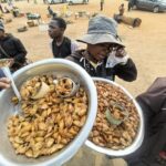 Bikita’s ‘Harurwa Cuisine’ drives gastronomy tourism growth