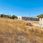ZNOART calls for probe into land barons over illegal land deals